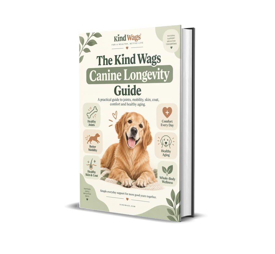 Canine Longevity Guide