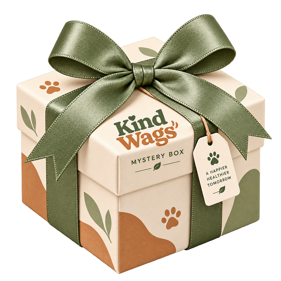 Mystery Gift